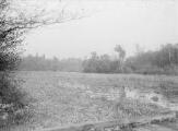 1 vue  - Lieu-dit Brunnenwasser (7 novembre 1924). (ouvre la visionneuse)