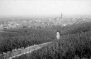 1 vue  - Blienschwiller, vue sur Dambach-la-Ville (chapelle) (août 1904). (ouvre la visionneuse)