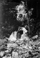 ouvrir dans la visionneuse : Hohwald, cascade (juillet 1902).