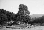 1 vue  - Vallée de Barr, chantier de bois (juillet 1902). (ouvre la visionneuse)
