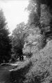 1 vue  - Mont Sainte-Odile, barre rocheuse, chemin de terre, pèlerins (juillet 1902). (ouvre la visionneuse)