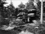 ouvrir dans la visionneuse : Mont Sainte-Odile, plateau de la Bloss, rocher du Beckenfelsen, photo de famille (juillet 1902).