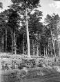 ouvrir dans la visionneuse : Mont Sainte-Odile, chantier de bois (juillet 1902).