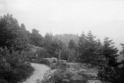 1 vue  - Mont Sainte-Odile, plateau de la Bloss, vue sur le couvent. (juillet 1902). (ouvre la visionneuse)