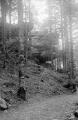 1 vue  - Mont Sainte-Odile, sentier de l\'Elsberg, rochers d\'Oberkirch (juillet 1902). (ouvre la visionneuse)