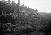 ouvrir dans la visionneuse : Mont Sainte-Odile, mur païen au-dessus du château de Dreistein (juillet 1902).