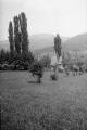 ouvrir dans la visionneuse : Vallée de Barr, pré avec peupliers et saules (juillet 1909). phot. Lucien Blumer.