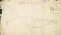 1 vue  - Plan du terrain dont jouit actuellement en 1786, la veuve de Henri Furcher, poseur de fascines du Roy, dans l\'Isle des Epis du Rhin. (ouvre la visionneuse)