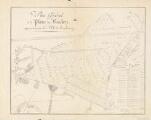 ouvrir dans la visionneuse : Plan général de la plaine des Bouchers appartenant à la Ville de Strasbourg.-