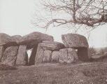 1 vue  - Essé, la Roche aux Fées, dolmen. (ouvre la visionneuse)