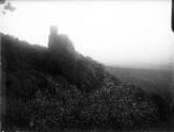ouvrir dans la visionneuse : Ruines du château du Girsberg.