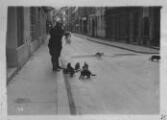 ouvrir dans la visionneuse : Rue des Juifs, pompiers nourrissant des chats errants. [1939].