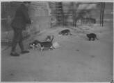 1 vue  - Place du Château, homme nourrisant des chats errants. [1939]. (ouvre la visionneuse)