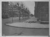 ouvrir dans la visionneuse : Avenue des Vosges, pigeons sur le trottoir. [1939].