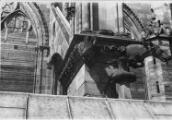 1 vue  - Cathédrale, gargouille sur le massif occidental. [5 septembre1941]. (ouvre la visionneuse)