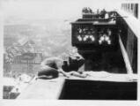 1 vue  - Cathédrale, monstre en pierre sur une balustrade. [1941-1944]. (ouvre la visionneuse)