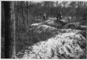 ouvrir dans la visionneuse : Forêt du Neuhof, remblaiement des tranchées françaises.