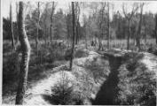 1 vue  - Forêt du Neuhof, remblaiement des tranchées françaises. (ouvre la visionneuse)