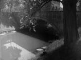 1 vue  - Pont des Vosges. [1940-1944]. (ouvre la visionneuse)